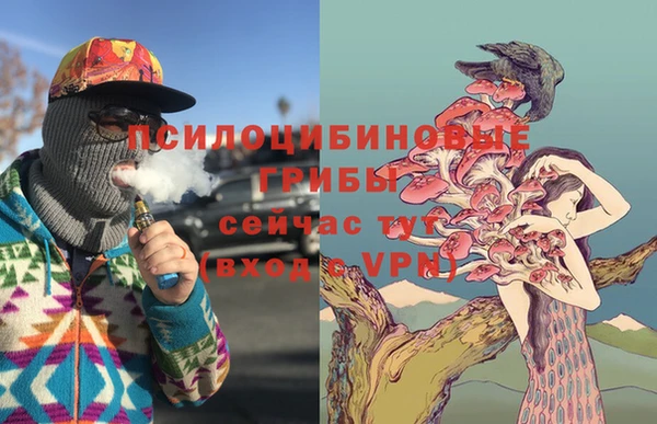 трава Армянск