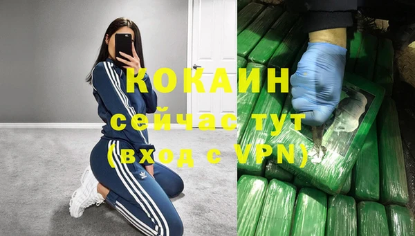 Альфа ПВП Аркадак
