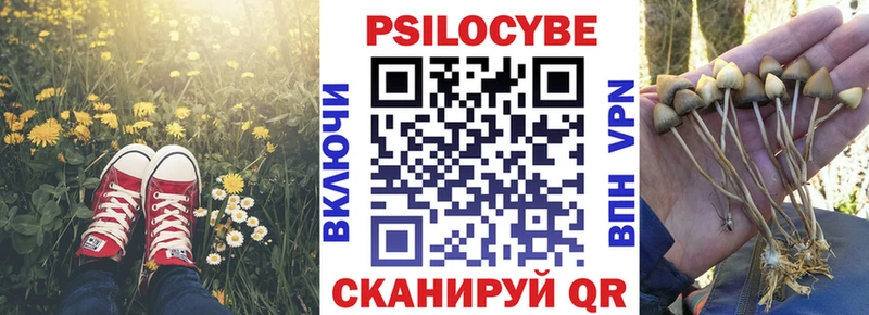 Псилоцибиновые грибы мухоморы  Тамбов 