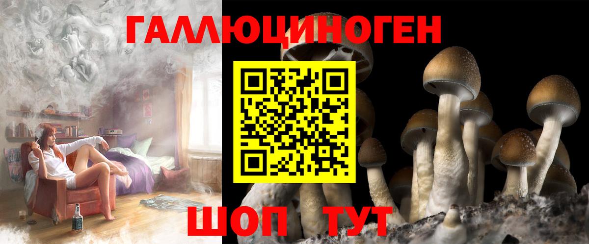 Тамбов  Псилоцибиновые грибы GOLDEN TEACHER  Вход с VPN 
