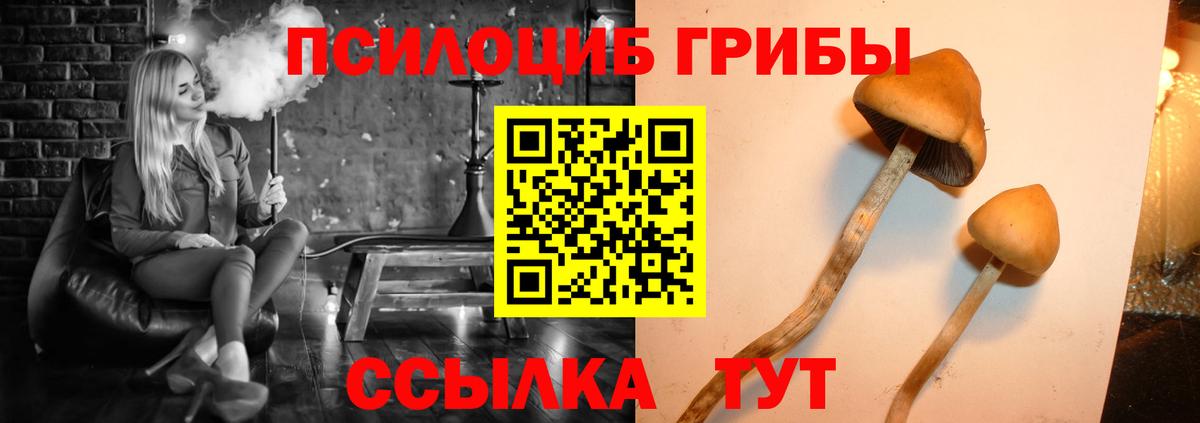 Псилоцибиновые грибы Magic Shrooms Тамбов